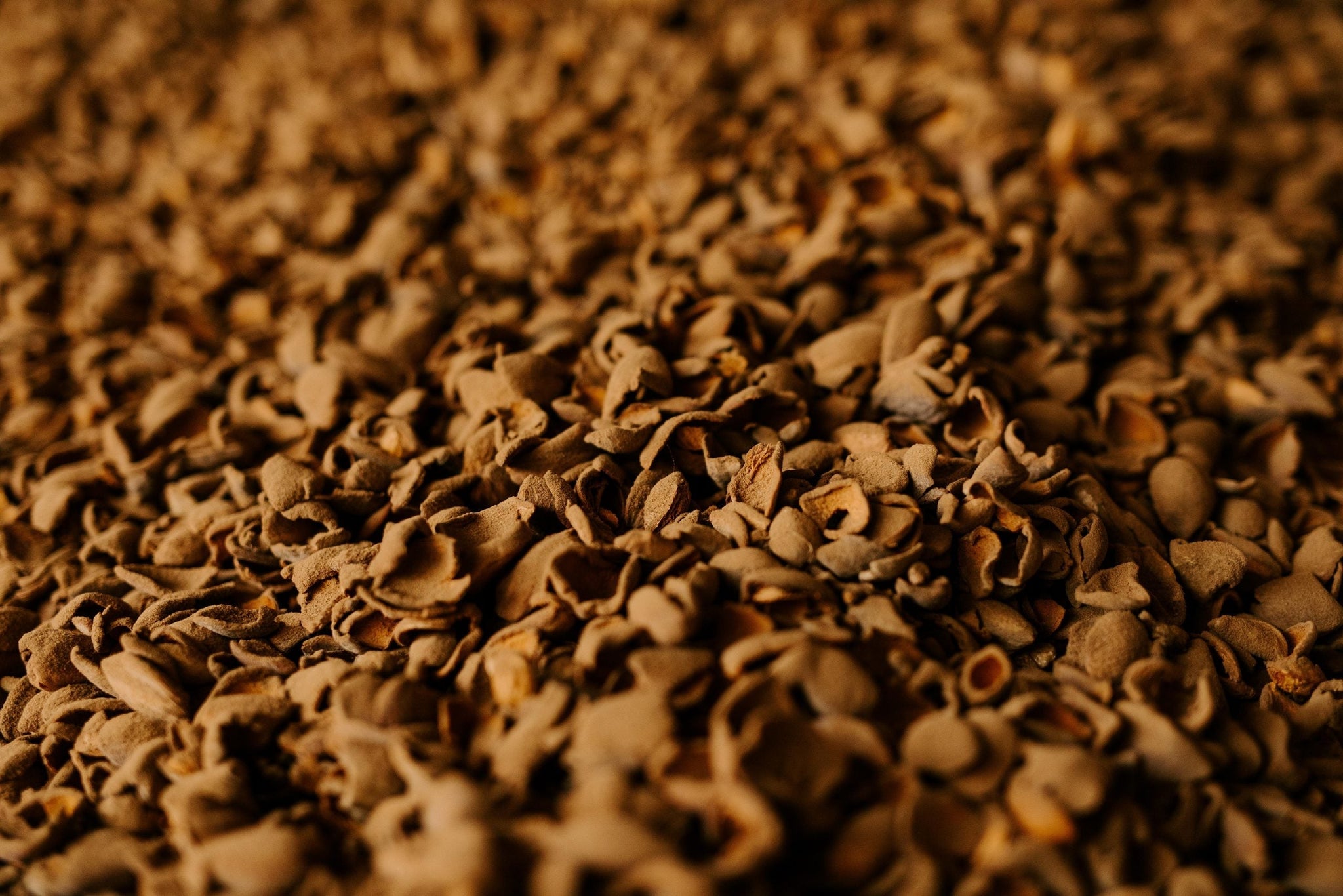 pile of almond hulls
