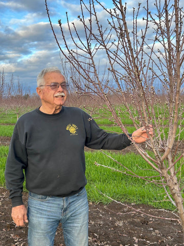 Ben Bertagna In almond orchard