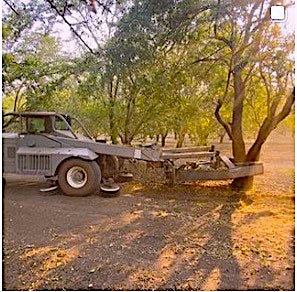 Shaker harvesting almonds