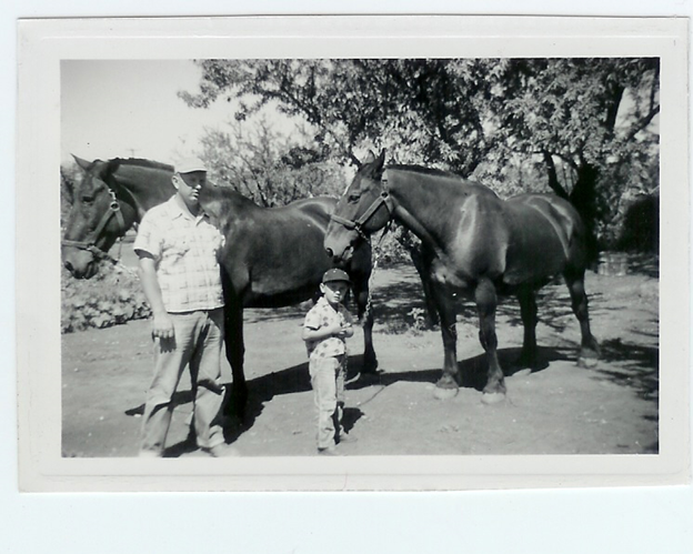 Two men and a horse