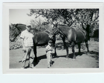 Two men and a horse