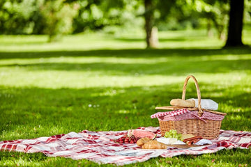 picnic basket on a blanket in a park