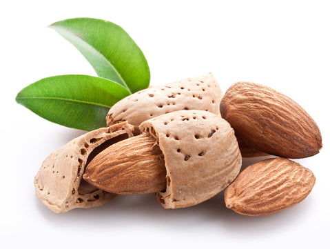 group-of-almond-nuts