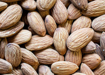 roasted almonds