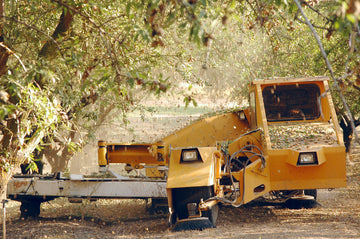 Almond harvesting machine in an orchard