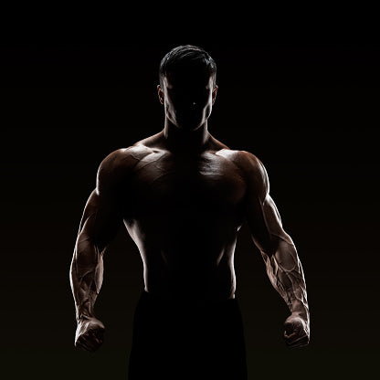 silhouette_of_strong_fighter