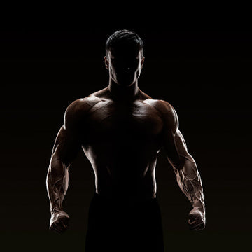 silhouette_of_strong_fighter