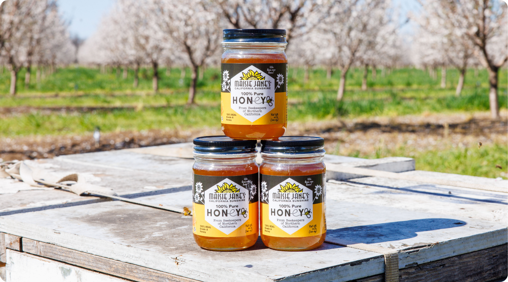 Honey
