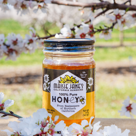 Organic Nut Butter & Honey Bundle