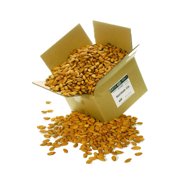 BULK Organic Raw Whole Almonds